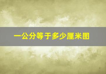 一公分等于多少厘米图