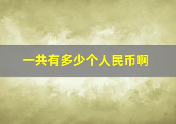 一共有多少个人民币啊