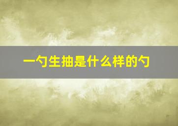 一勺生抽是什么样的勺