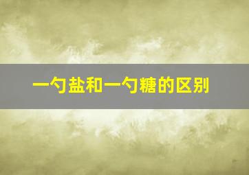 一勺盐和一勺糖的区别