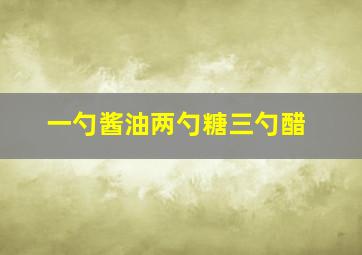 一勺酱油两勺糖三勺醋