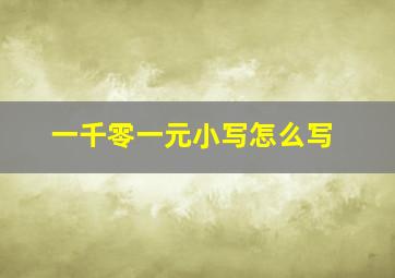 一千零一元小写怎么写