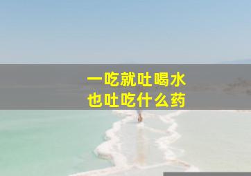 一吃就吐喝水也吐吃什么药