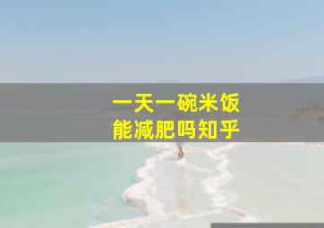 一天一碗米饭能减肥吗知乎