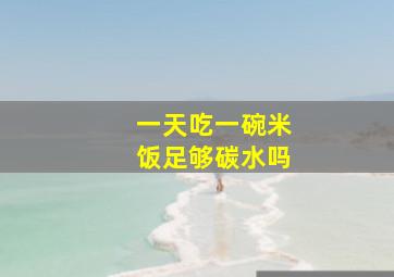 一天吃一碗米饭足够碳水吗