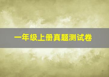 一年级上册真题测试卷