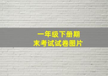 一年级下册期末考试试卷图片