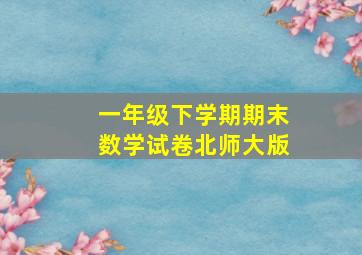 一年级下学期期末数学试卷北师大版