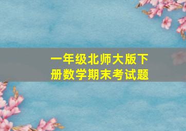 一年级北师大版下册数学期末考试题