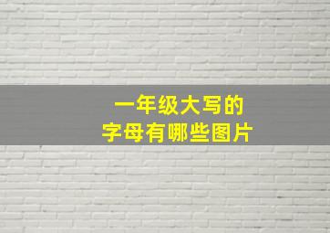 一年级大写的字母有哪些图片