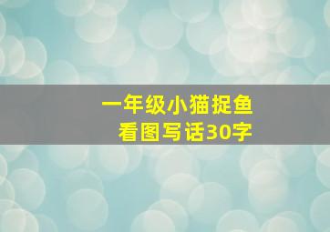 一年级小猫捉鱼看图写话30字