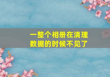 一整个相册在清理数据的时候不见了