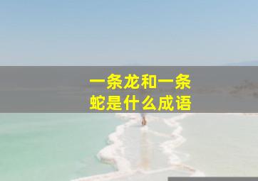 一条龙和一条蛇是什么成语