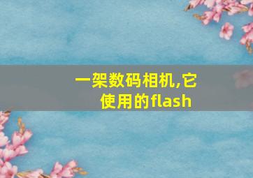 一架数码相机,它使用的flash