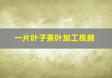 一片叶子茶叶加工视频