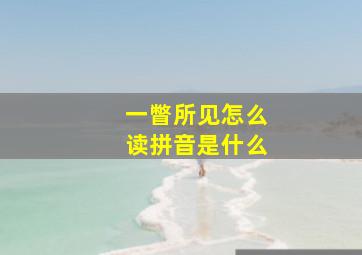 一瞥所见怎么读拼音是什么