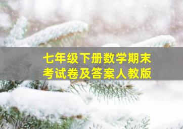 七年级下册数学期末考试卷及答案人教版