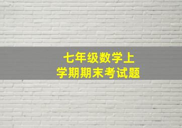 七年级数学上学期期末考试题