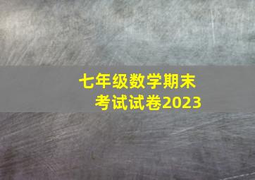 七年级数学期末考试试卷2023