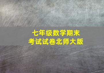 七年级数学期末考试试卷北师大版