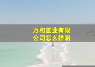 万和置业有限公司怎么样啊