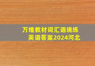 万维教材词汇语境练英语答案2024河北