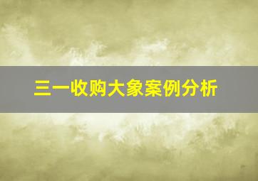 三一收购大象案例分析