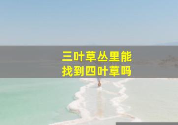 三叶草丛里能找到四叶草吗