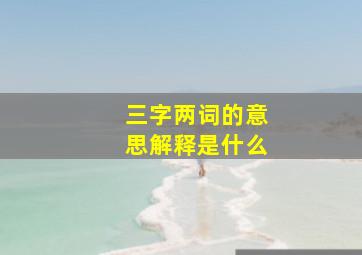 三字两词的意思解释是什么