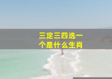 三定三四选一个是什么生肖