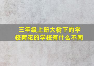 三年级上册大树下的学校荷花的学校有什么不同