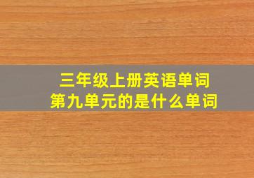 三年级上册英语单词第九单元的是什么单词