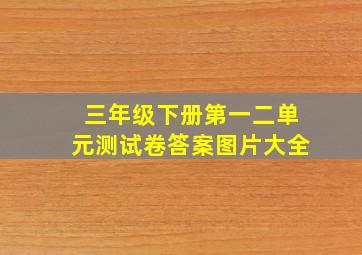 三年级下册第一二单元测试卷答案图片大全