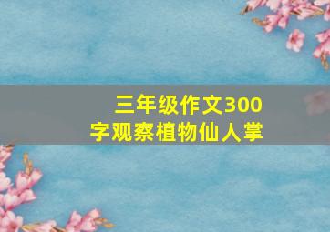 三年级作文300字观察植物仙人掌