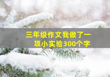 三年级作文我做了一项小实验300个字