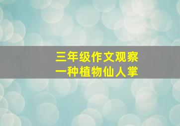 三年级作文观察一种植物仙人掌