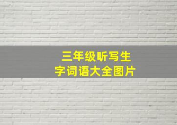 三年级听写生字词语大全图片