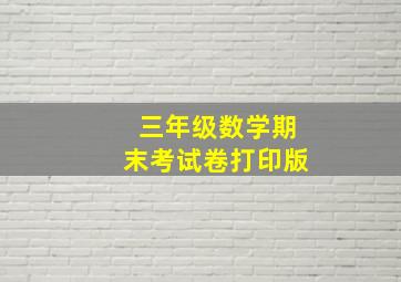 三年级数学期末考试卷打印版