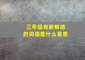 三年级有新鲜感的词语是什么意思