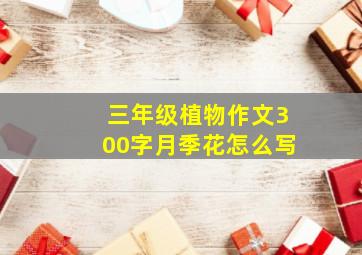 三年级植物作文300字月季花怎么写