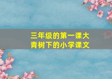 三年级的第一课大青树下的小学课文