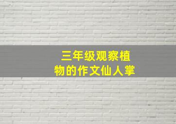 三年级观察植物的作文仙人掌