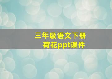 三年级语文下册荷花ppt课件