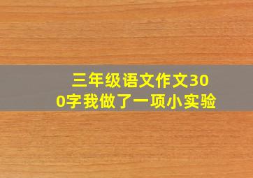 三年级语文作文300字我做了一项小实验