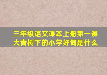 三年级语文课本上册第一课大青树下的小学好词是什么