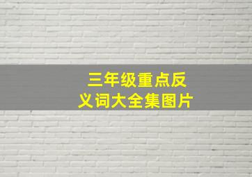 三年级重点反义词大全集图片