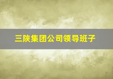 三陕集团公司领导班子