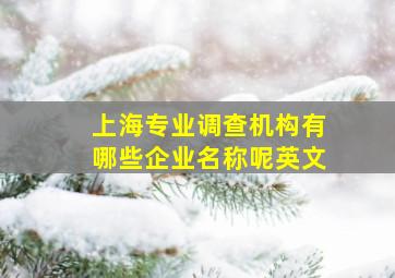 上海专业调查机构有哪些企业名称呢英文