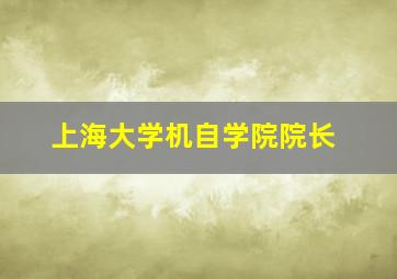 上海大学机自学院院长