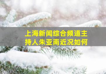 上海新闻综合频道主持人朱亚南近况如何